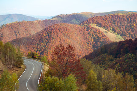 Mountains in the fall season, Paltinis area, Sibiu county, Romaniaの写真素材
