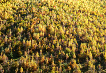 hills in the fall season, Rasinari village, Sibiu county, Romaniaの写真素材