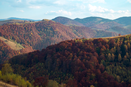 Mountains in the fall season, Paltinis area, Sibiu county, Romaniaの写真素材