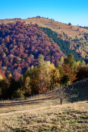 hills in the fall season, Fantanele village, Sibiu county, Romaniaの写真素材