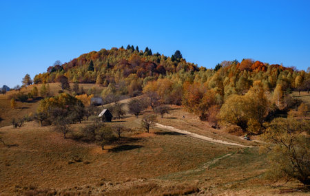 hills in the fall season, Fantanele village, Sibiu county, Romaniaの写真素材