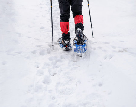 Man legs with snowshoes walk in snow. Detail of winter hike in snowdrift, snowshoeing with trekking poles and shoe cover in powder snowの写真素材