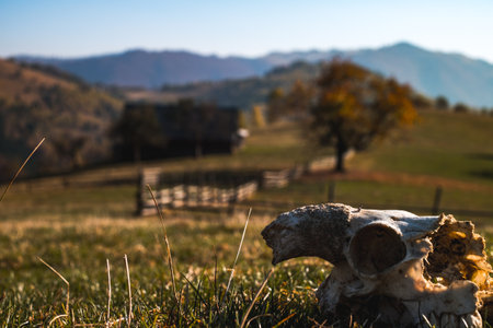 hills in the fall season, Fantanele village, Sibiu county, Romaniaの写真素材