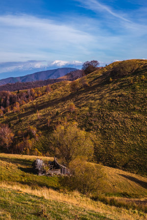 Mountains in the fall season, Paltinis area, Sibiu county, Romaniaの写真素材