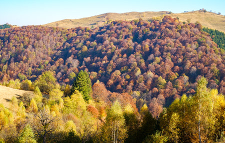 hills in the fall season, Fantanele village, Sibiu county, Romaniaの写真素材