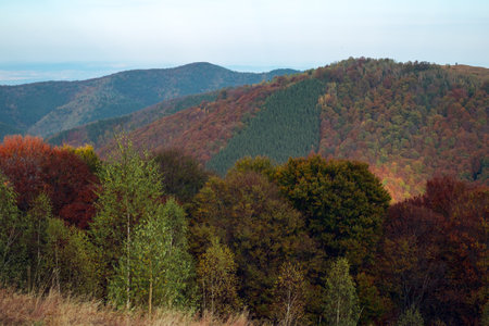 Mountains in the fall season, Paltinis area, Sibiu county, Romaniaの写真素材