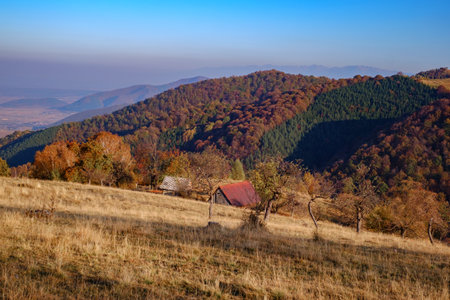 hills in the fall season, Fantanele village, Sibiu county, Romaniaの写真素材