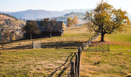 hills in the fall season, Fantanele village, Sibiu county, Romaniaの写真素材
