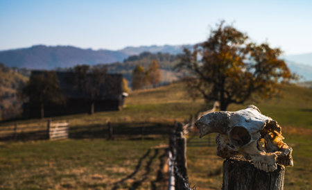 hills in the fall season, Fantanele village, Sibiu county, Romaniaの写真素材