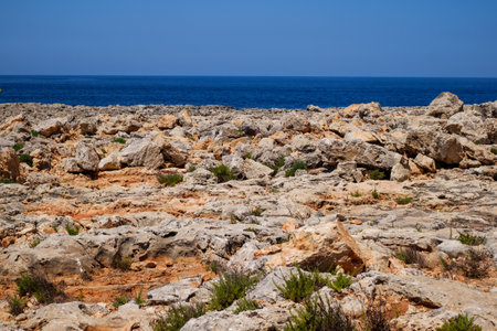 Rough coastline of Comino island, Maltaの写真素材