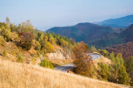 Mountains in the fall season, Paltinis area, Sibiu county, Romaniaの写真素材