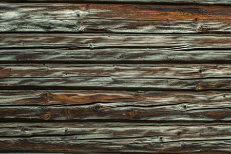 Termites eat old and decayed wooden planksの写真素材