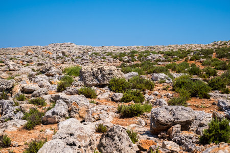 Rough coastline of Comino island, Maltaの写真素材