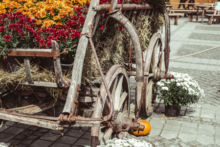 old carriage with rusty wheels and pumpkinsの写真素材