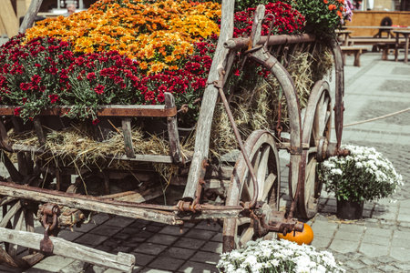old carriage with rusty wheels and pumpkinsの写真素材