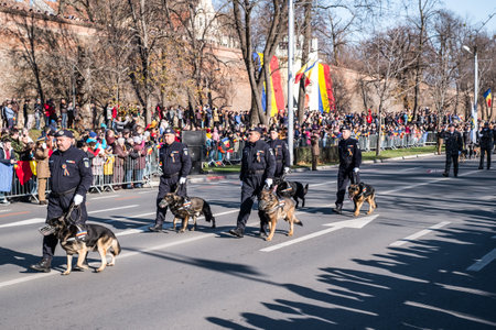 Sibiu, Romania - December 1, 2019. Military Parade on National Day of Romania, 1 December, on Corneliu Coposu Boulevard from Sibiu centerのeditorial素材