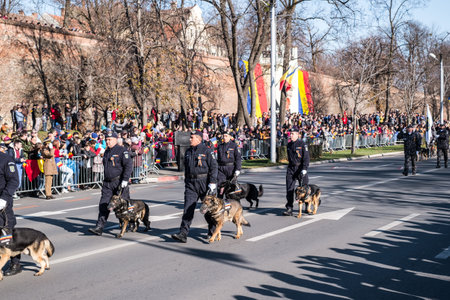 Sibiu, Romania - December 1, 2019. Military Parade on National Day of Romania, 1 December, on Corneliu Coposu Boulevard from Sibiu centerのeditorial素材