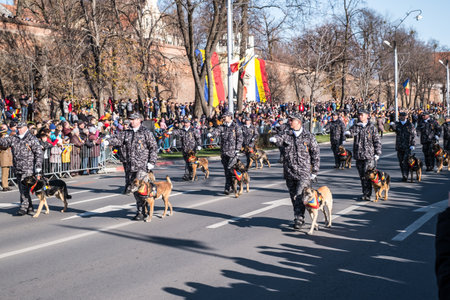 Sibiu, Romania - December 1, 2019. Military Parade on National Day of Romania, 1 December, on Corneliu Coposu Boulevard from Sibiu centerのeditorial素材
