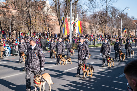 Sibiu, Romania - December 1, 2019. Military Parade on National Day of Romania, 1 December, on Corneliu Coposu Boulevard from Sibiu centerのeditorial素材
