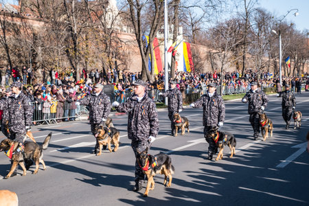 Sibiu, Romania - December 1, 2019. Military Parade on National Day of Romania, 1 December, on Corneliu Coposu Boulevard from Sibiu centerのeditorial素材