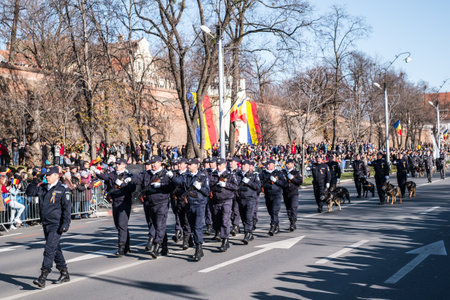 Sibiu, Romania - December 1, 2019. Military Parade on National Day of Romania, 1 December, on Corneliu Coposu Boulevard from Sibiu centerのeditorial素材