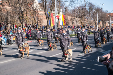 Sibiu, Romania - December 1, 2019. Military Parade on National Day of Romania, 1 December, on Corneliu Coposu Boulevard from Sibiu centerのeditorial素材