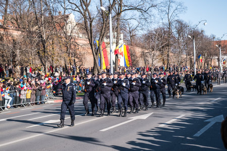 Sibiu, Romania - December 1, 2019. Military Parade on National Day of Romania, 1 December, on Corneliu Coposu Boulevard from Sibiu centerのeditorial素材