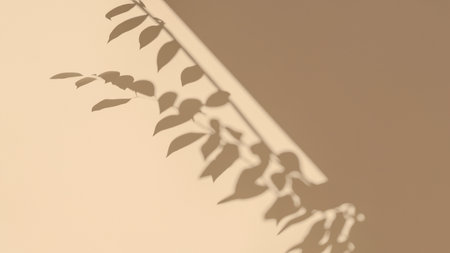 Minimalistic abstract gentle light background for product presentation with light and intricate shadow from tree branches on wallの素材