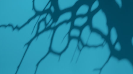 Minimalistic abstract gentle light background for product presentation with light and intricate shadow from tree branches on wallの素材