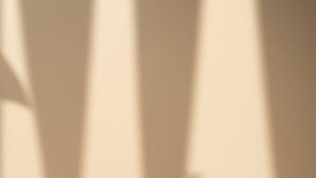 Minimalistic abstract gentle light background for product presentation with light and intricate shadow from tree branches on wallの素材