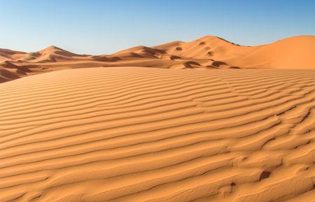 Beautiful sand dunes in the desertの素材