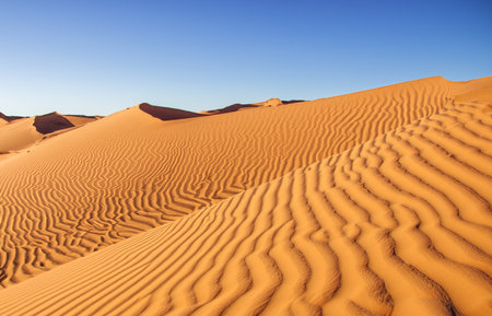Beautiful sand dunes in the desertの素材