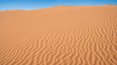 Beautiful sand dunes in the desertの素材