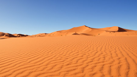 Beautiful sand dunes in the desertの素材