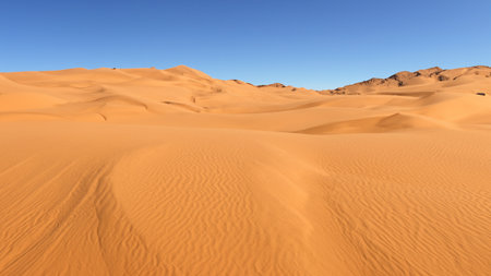 Beautiful sand dunes in the desertの素材