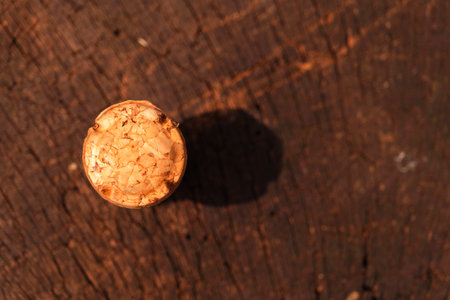 a cork plug on a tree with lichensの写真素材