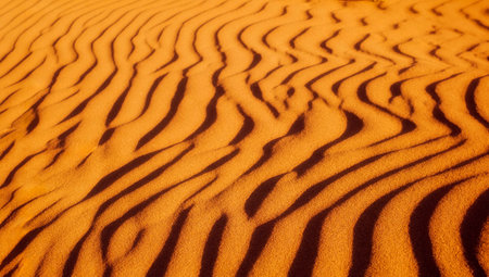 Background texture of desert sandの写真素材
