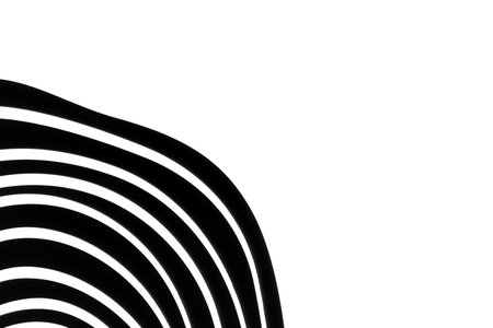 abstract black wave lines on white backgroundの写真素材