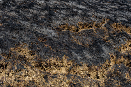 Burning dry vegetation on hillsの写真素材