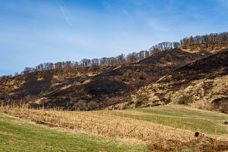 Burning dry vegetation on hillsの写真素材