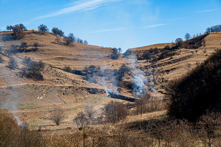 Burning dry vegetation on hillsの写真素材