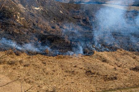 Burning dry vegetation on hillsの写真素材