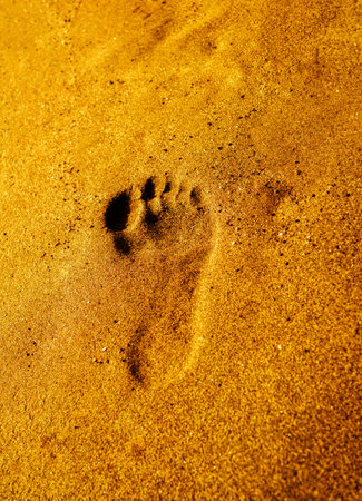 Footprints on the beach sandの写真素材