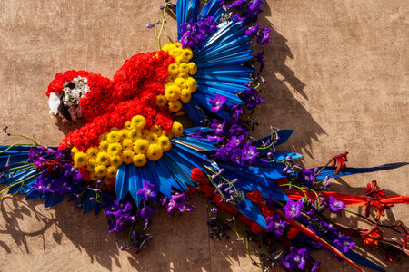 Colourful Parrot bird made of spring flowersの写真素材