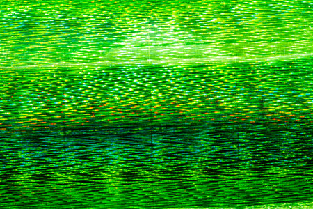 Green Sparkling Lights Festive background with textureの写真素材