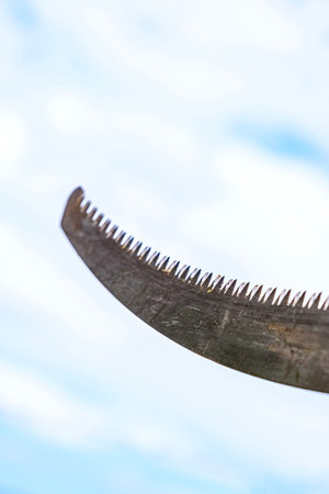 hand saw blades with teeth with cloudy sky in the background