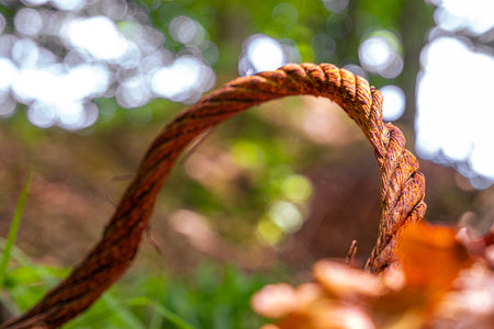 old rusty cable in the forestの写真素材