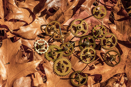 precision engineered toothed brass metal cog wheels on dry leavesの写真素材