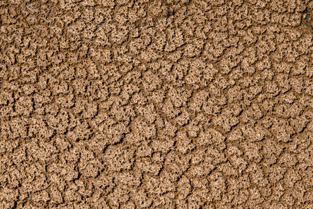 The ground has cracks in the top view for the backgroundの写真素材