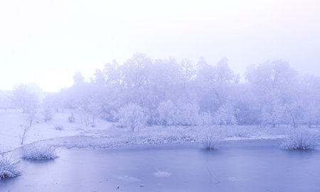 winter time in park from Sibiu city, Romaniaの写真素材